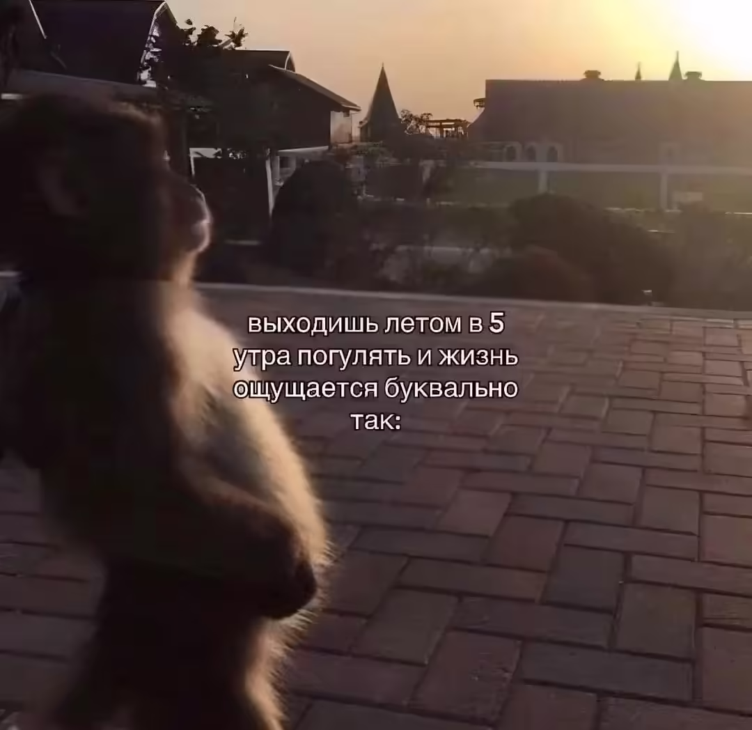 Жизненая фотокарточка однажды летом